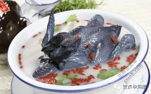 孕婦臨產營養(yǎng)食譜 枸杞燉烏雞