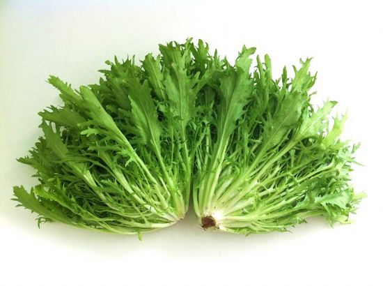 苦菜為何可以預(yù)防腎癌 腎癌治療會出現(xiàn)什么