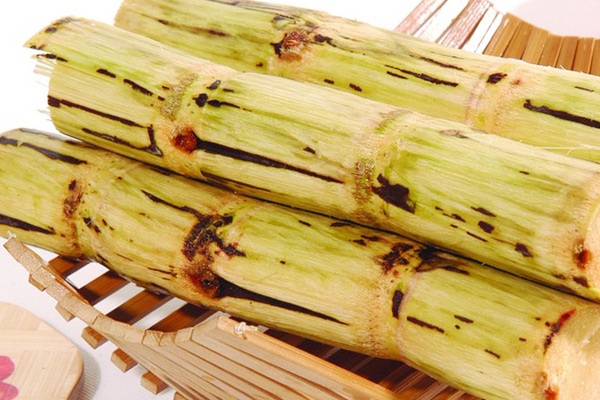 啃甘蔗易損害換牙期兒童的牙齒