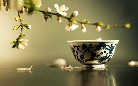 孕期喝濃茶易導(dǎo)致貧血