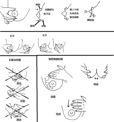吸奶器吸不出奶，試試正確的手?jǐn)D奶方法