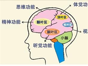 父母的哪些行為可以幫助孩子大腦發(fā)育？