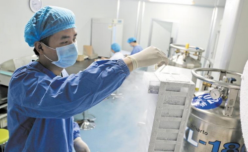 冷凍精子會影響試管嬰兒成功率嗎？